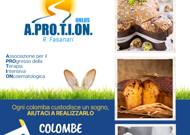 Colombe Solidali – Ogni colomba costituisce un sogno, aiutaci a realizzarlo…