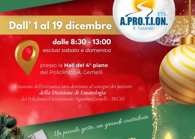 Mercatino di Natale 2025